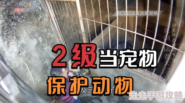 探索帝国与魔法世界中超级宠物的独特特点及多元获得方式