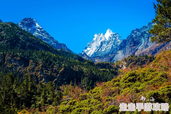 洛克王国手游圣地秘境通关全攻略：详解如何通过及策略解析