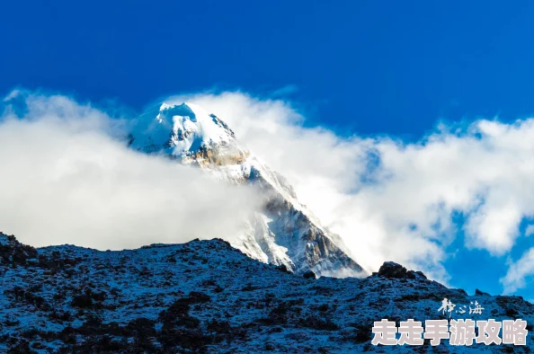 洛克王国手游圣地秘境通关全攻略：详解如何通过及策略解析