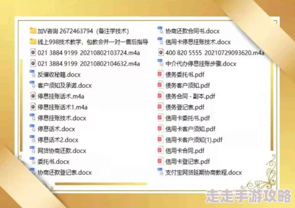 三角洲行动违规行为举报指南：全面了解三角洲行动举报方法与流程