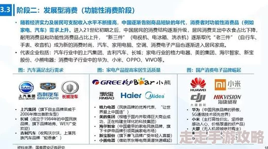 国产精品永久免费10000：最新政策推动国产品牌崛起，消费者热议品质与价格的完美平衡