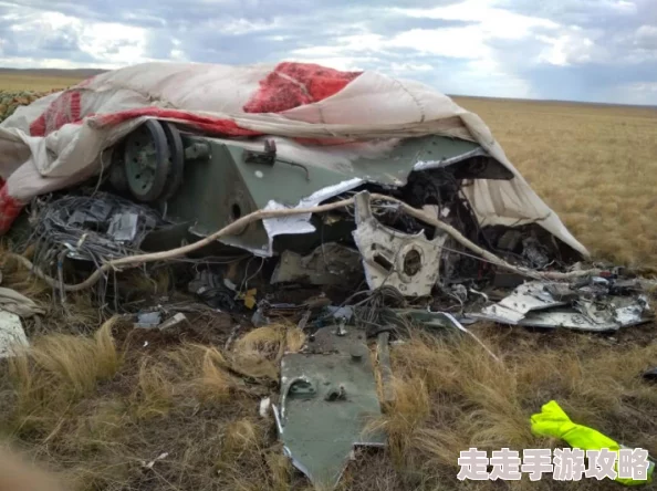 随机冲突土豆英雄平民玩家福音：五套精选0氪阵容搭配策略推荐分享