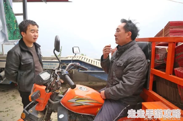 4虎tv换哪个网名了？深入了解最新动态与变化趋势