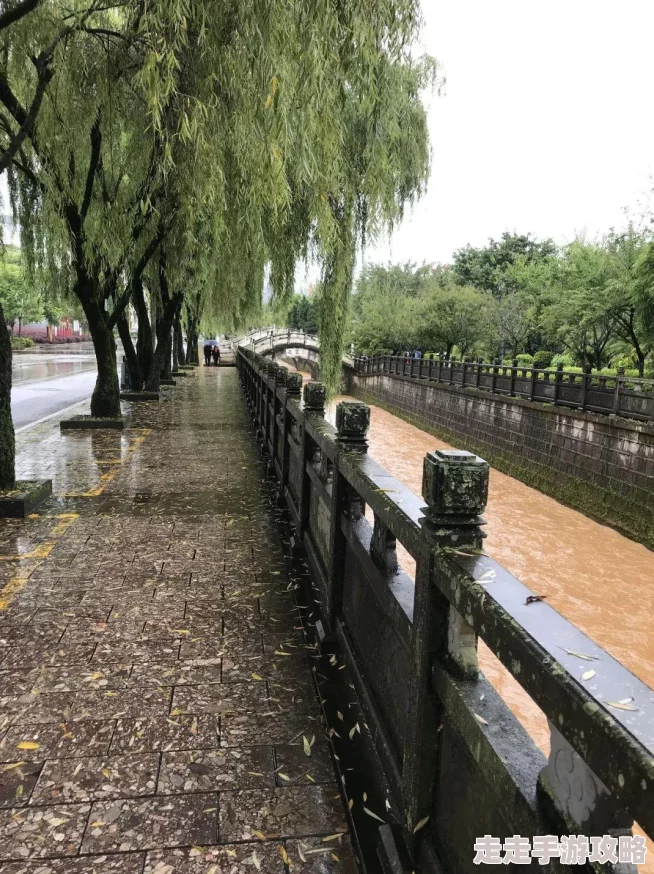 久久激情五月丁香伊人：全球气候变化引发极端天气，专家呼吁加强应对措施以保护生态环境和人类生活