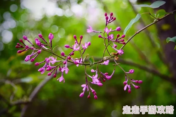 久久激情五月丁香伊人：全球气候变化引发极端天气，专家呼吁加强应对措施以保护生态环境和人类生活