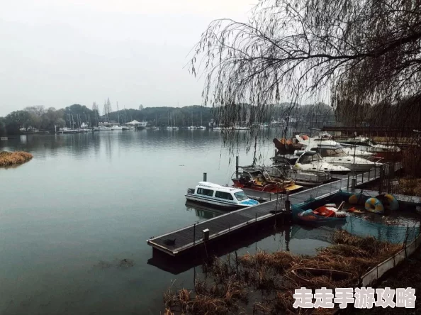 欧美在线一区二区：最新动态揭示了平台用户增长趋势与内容多样化的深远影响，值得关注！