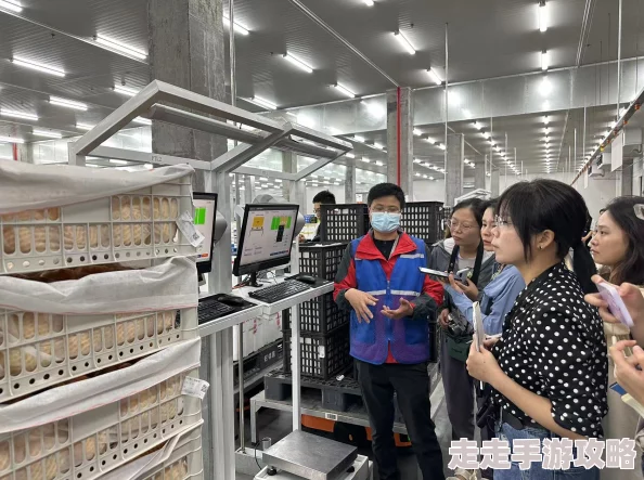 轻度网调任务60条：最新动态更新，助力提升网络调查效率与质量，推动行业发展新趋势