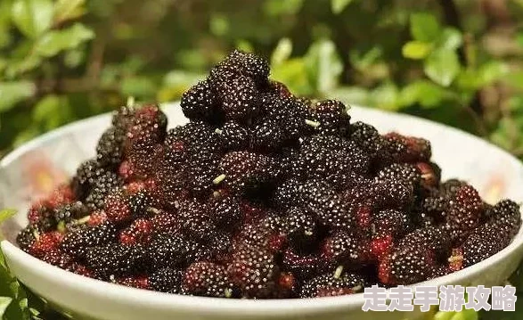 中国槡BBBB槡槡BBBBB：震惊世界的重大事件曝光，牵动万千民心的秘密即将揭开！