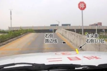 白色烟雾弹图纸在哪里学？最新学习资源与技巧分享，助你轻松掌握制作方法和安全注意事项！