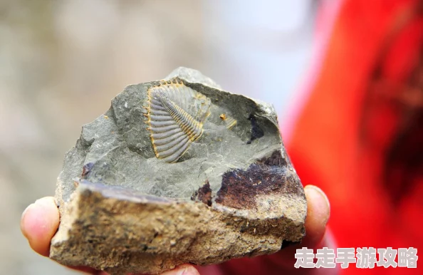 文明重启机场开局策略：造家选址技巧与全面发育攻略指南