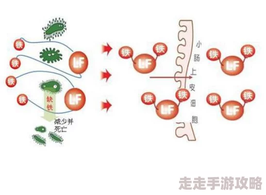 铜铜铜铜铜铜铜铜好大好深板,动,无病毒，最新研究显示其在抗菌领域的潜力引发广泛关注与讨论