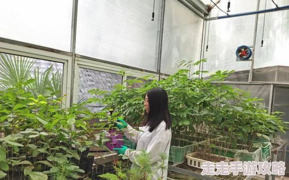狠狠色噜噜狠狠狠狠色吗综合：最新动态揭示了该领域的深刻变化与发展趋势，值得关注与思考