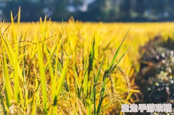 狠狠色噜噜狠狠狠狠色吗综合：最新动态揭示了该领域的深刻变化与发展趋势，值得关注与思考