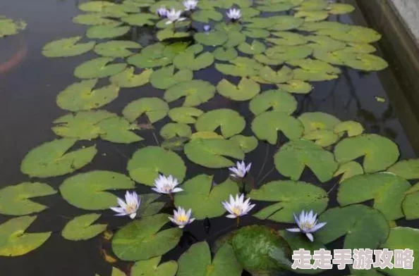 《黑神话：悟空》游戏中业火杖的详细获取方法与攻略指南