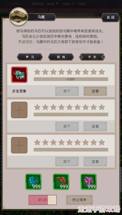 全面探索堆叠修仙：传世大陆进阶策略与奇遇攻略指南，网友热评版深度解析