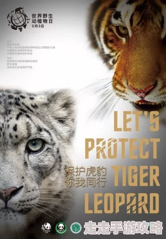 萌宠特工队携手环保组织开展动物保护宣传活动