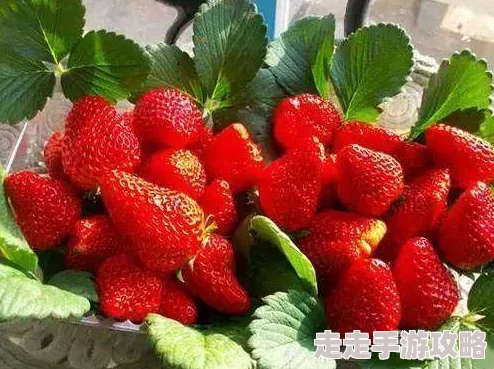 草莓污污指的是一种带有色情意味的网络用语,常用于形容某些露骨或暗示性的内容 草莓污污指的是一种带有色情意味的网络用语,常用于形容某些露骨或暗示性的内容