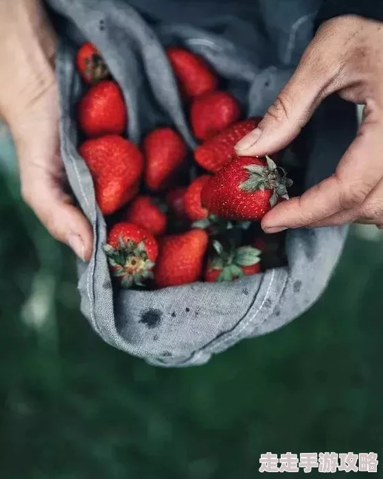 草莓污污指的是一种带有色情意味的网络用语,常用于形容某些露骨或暗示性的内容 草莓污污指的是一种带有色情意味的网络用语,常用于形容某些露骨或暗示性的内容