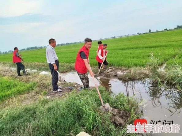 农村妇女野外BBwBBwBBw指的是她们在田间地头辛勤劳作的场景