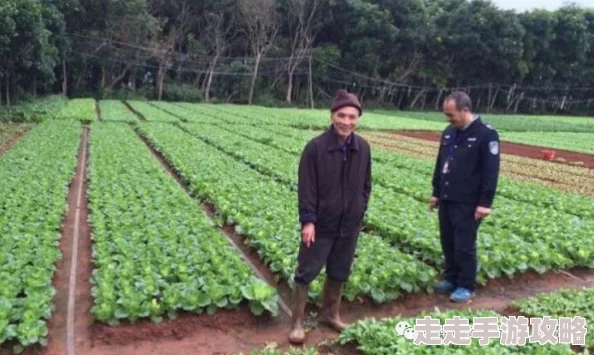 农村妇女野外BBwBBwBBw指的是她们在田间地头辛勤劳作的场景