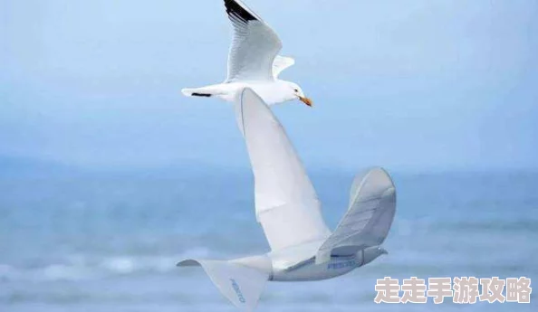 鹤形展翅翱翔天际，祝福你事业腾飞如意，生活美满幸福快乐