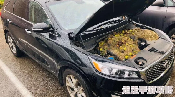 巨大一寸一寸挤进我身体里新鲜事是小区花园里的松鼠学会了开核桃 巨大一寸一寸挤进我身体里新鲜事是小区花园里的松鼠学会了开核桃