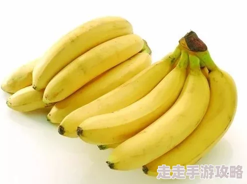 伊人久久大香线蕉综合色啪成人娱乐网站提供多种类型视频内容 伊人久久大香线蕉综合色啪成人娱乐网站提供多种类型视频内容