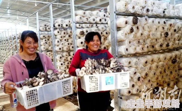 我的世界蘑菇种植全攻略:方法条件一览,惊喜消息!新增高效培育秘籍等你解锁! 我的世界蘑菇种植全攻略:方法条件一览,惊喜消息!新增高效培育秘籍等你解锁!