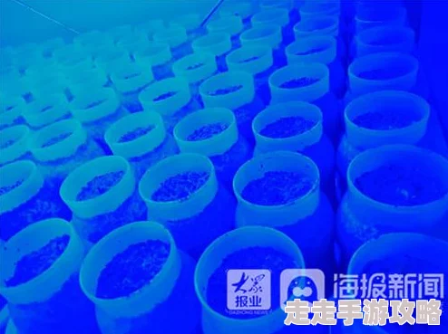 我的世界蘑菇种植全攻略:方法条件一览,惊喜消息!新增高效培育秘籍等你解锁! 我的世界蘑菇种植全攻略:方法条件一览,惊喜消息!新增高效培育秘籍等你解锁!