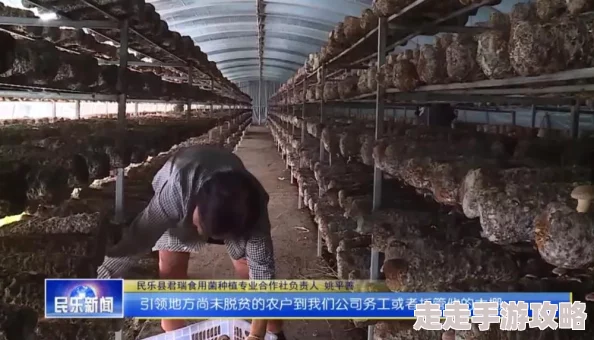 我的世界蘑菇种植全攻略:方法条件一览,惊喜消息!新增高效培育秘籍等你解锁! 我的世界蘑菇种植全攻略:方法条件一览,惊喜消息!新增高效培育秘籍等你解锁!