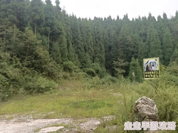 yundings11云顶寺的传说与历史探索 yundings11云顶寺的传说与历史探索