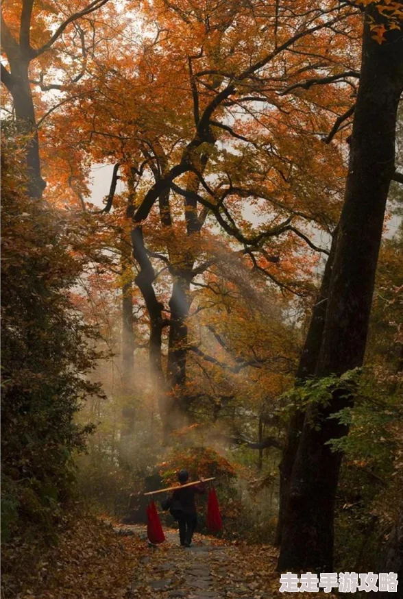 yundings11云顶寺的传说与历史探索 yundings11云顶寺的传说与历史探索