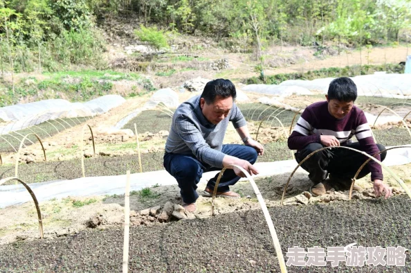 儿耕妈荒废的田指的是母亲去世后,儿子继续耕种她留下的土地,以此表达对母亲的怀念和敬意 儿耕妈荒废的田指的是母亲去世后,儿子继续耕种她留下的土地,以此表达对母亲的怀念和敬意
