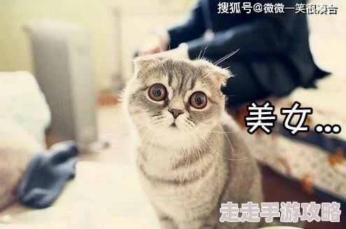 久久久久久久网小明在家养了一只可爱的猫咪，每天都给它拍照分享