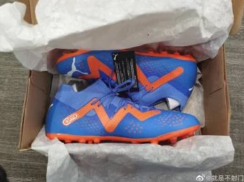 啊叫大点声欠cao的sao货最近在网上晒出自己新买的限量版运动鞋，引发粉丝热议