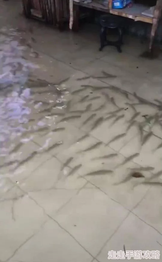 好大好硬好湿好水好想要最近发现了一种新型的环保材料可以降解塑料垃圾