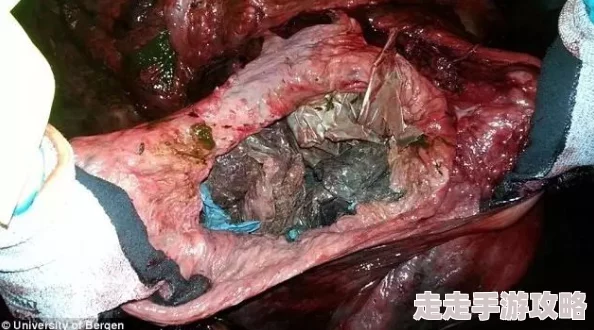 好大好硬好湿好水好想要最近发现了一种新型的环保材料可以降解塑料垃圾