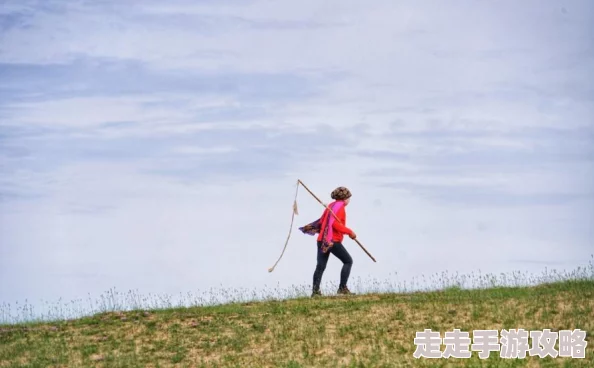 成吉思汗手机版四大王国阵营选择情况深度分析，惊喜消息：全新隐藏阵营即将解锁！