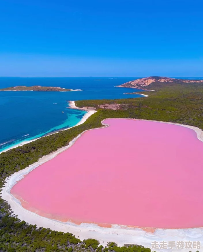 哦嗯深一点再深一点科学家发现新型海洋生物发光现象