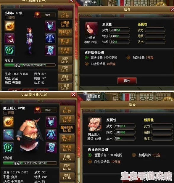 2024神仙道惊喜揭秘：顶尖飞羽伙伴搭配推荐，解锁全新战斗策略等你来发现！