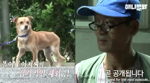 老头的粗大家火近日一位老头在公园里意外发现了一只迷路的小狗，吸引了众多路人围观。