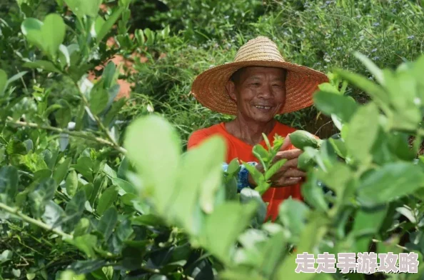 久久精品人近日推出限量版香水系列受到追捧