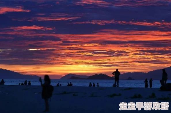 第二春by半岛落日连载至120章沈清和终于等到迟来的告白