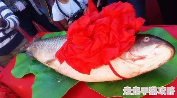 鲤鱼乡粉嫩乳尖后续更新将包含更多令人血脉喷张的精彩情节敬请期待 鲤鱼乡粉嫩乳尖后续更新将包含更多令人血脉喷张的精彩情节敬请期待