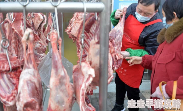 迎合疯狂肉伦耕耘播种产量喜人持续高涨需求旺盛市场火爆