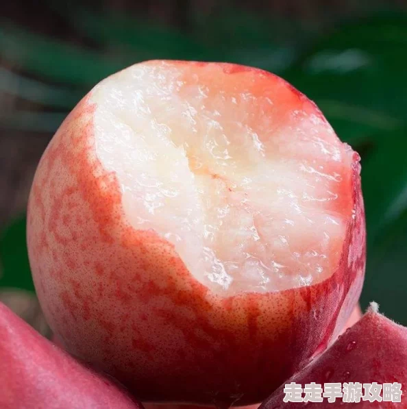 舔舔爱甜蜜升级版火热上线新增多种互动玩法等你体验 舔舔爱甜蜜升级版火热上线新增多种互动玩法等你体验