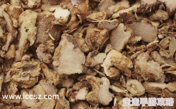 艳射90黑脚丝女高清完整版资源已更新