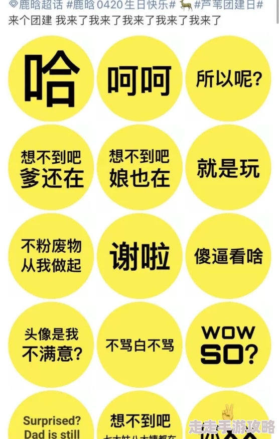 白丝污进度更新：图片收集整理完毕进入后期制作阶段