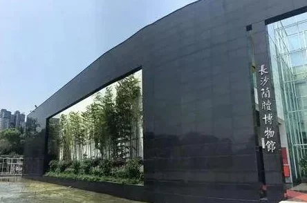 战斗吧蘑菇君！首充武器大揭秘：千年树的木片竟藏有惊喜属性解析！