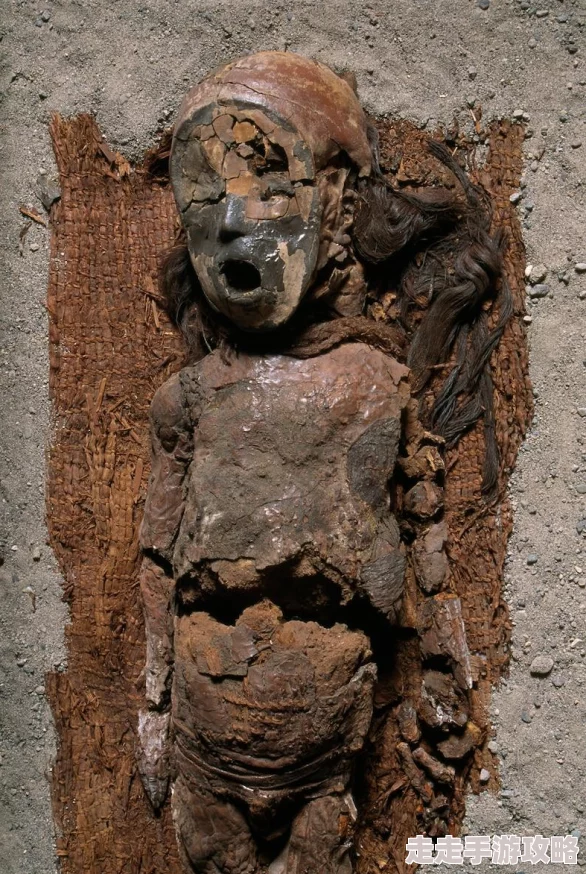 战斗吧蘑菇君！首充武器大揭秘：千年树的木片竟藏有惊喜属性解析！